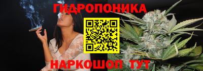 МДПВ Лесосибирск