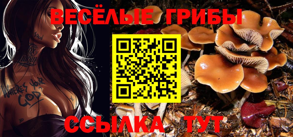 Галлюциногенные грибы Magic Shrooms  Галлюциногенные грибы ЛСД  Вход с VPN  Кизляр 