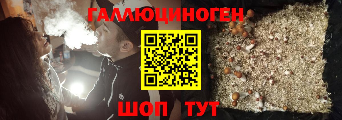 Галлюциногенные грибы Magic Shrooms Кизляр