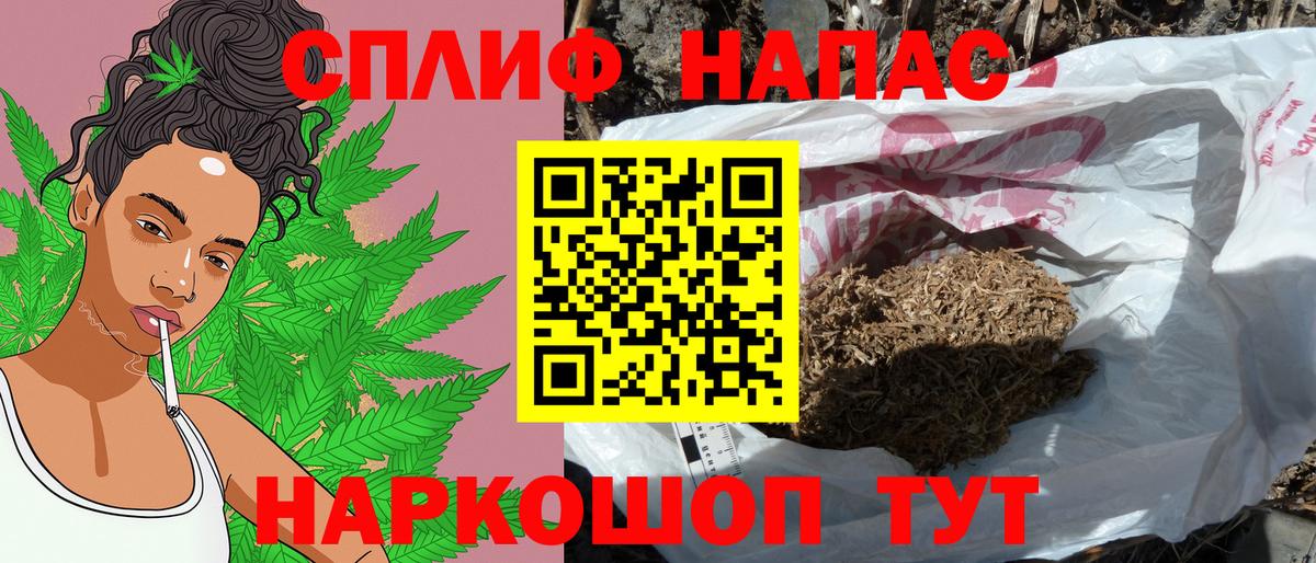 Конопля гибрид Кизляр